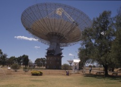 Parkes